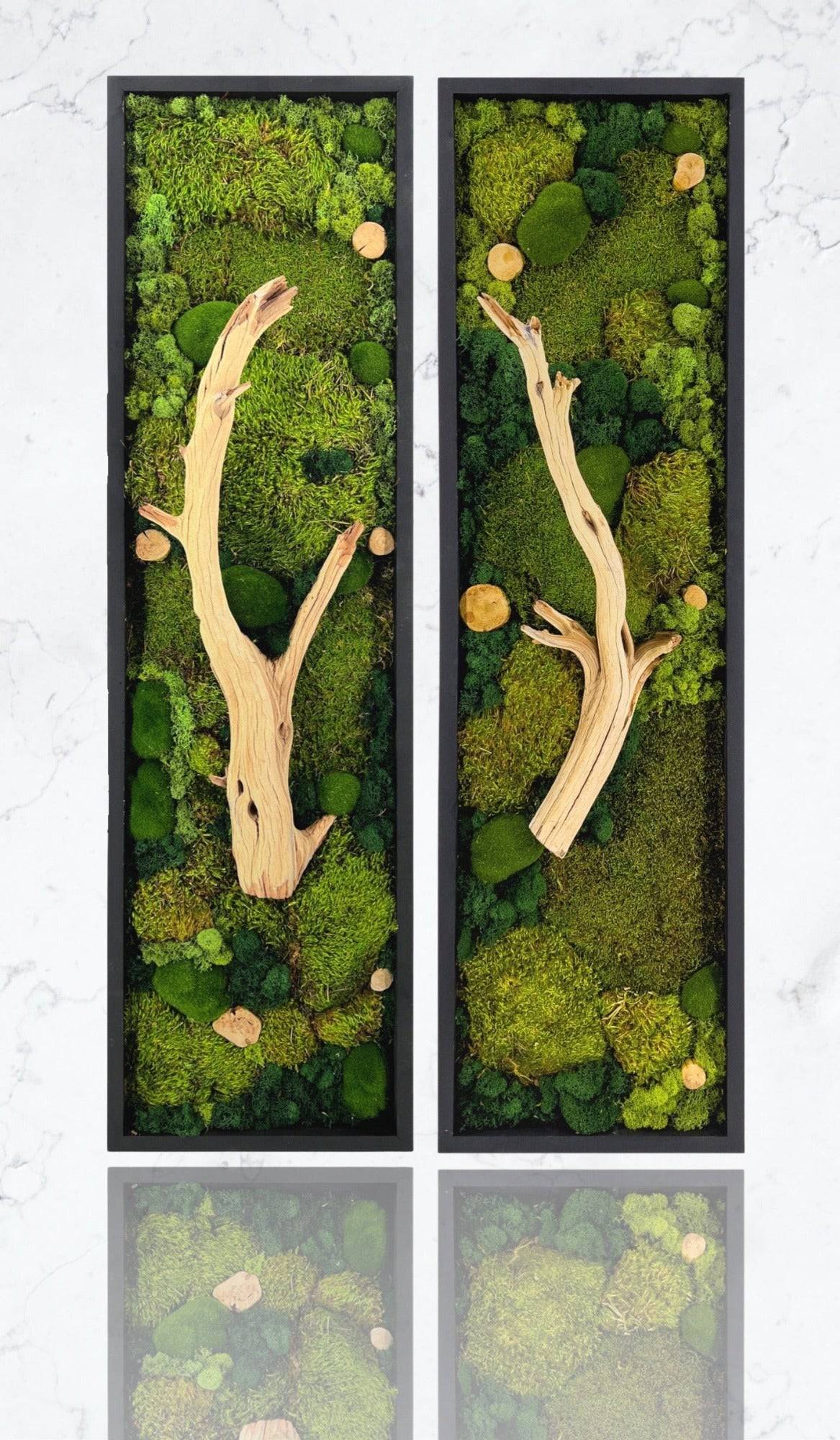 Natural Earthy Driftwood and Moss Art Piece For Sale | Moss Fusion