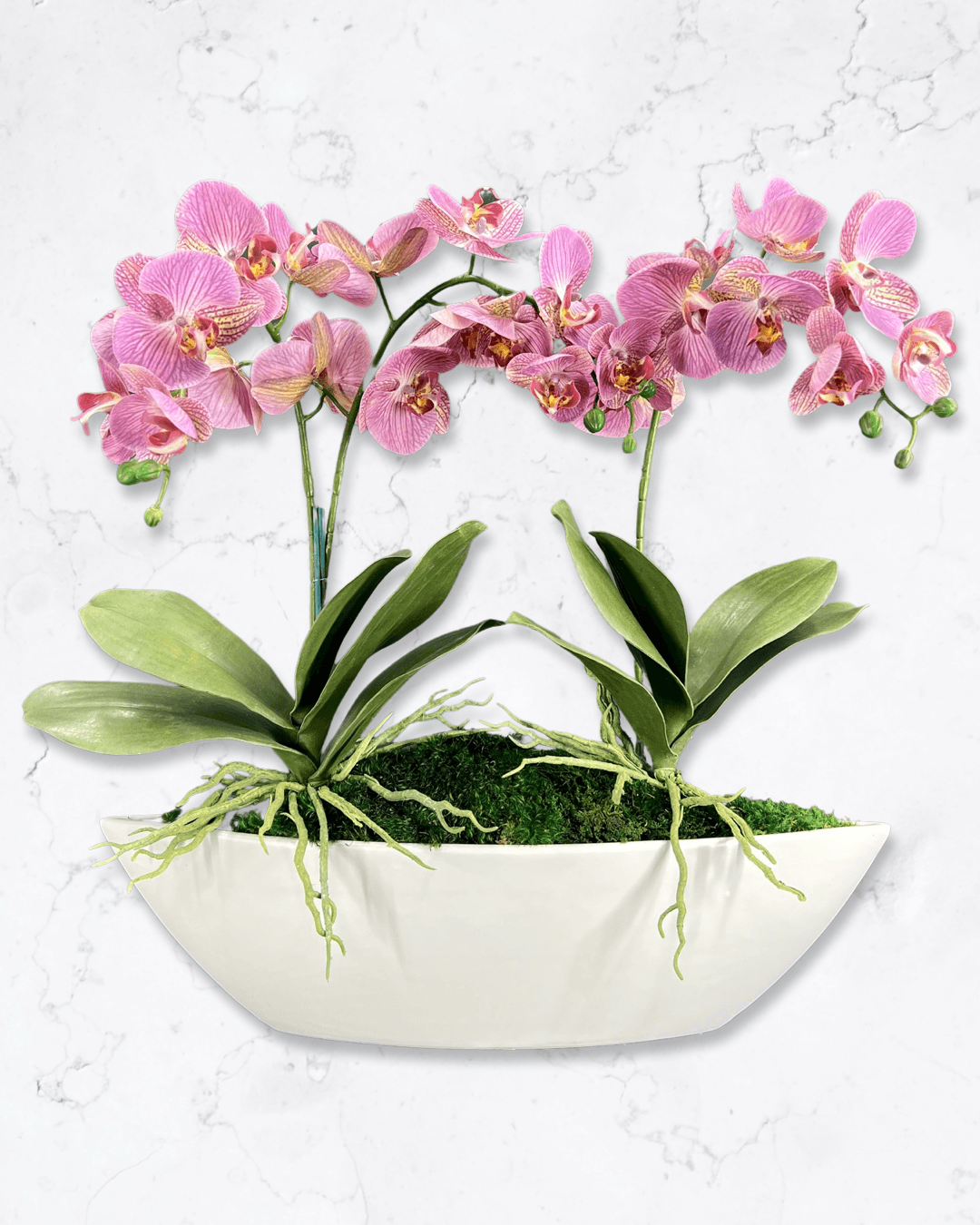 Orchid Centerpiece in Boat Bowl - MossFusion