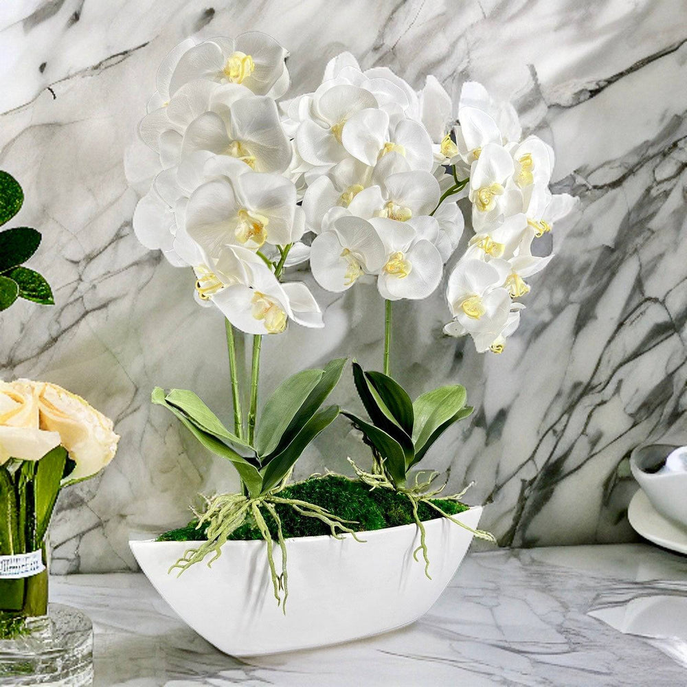 Orchid Centerpiece in Boat Bowl - MossFusion