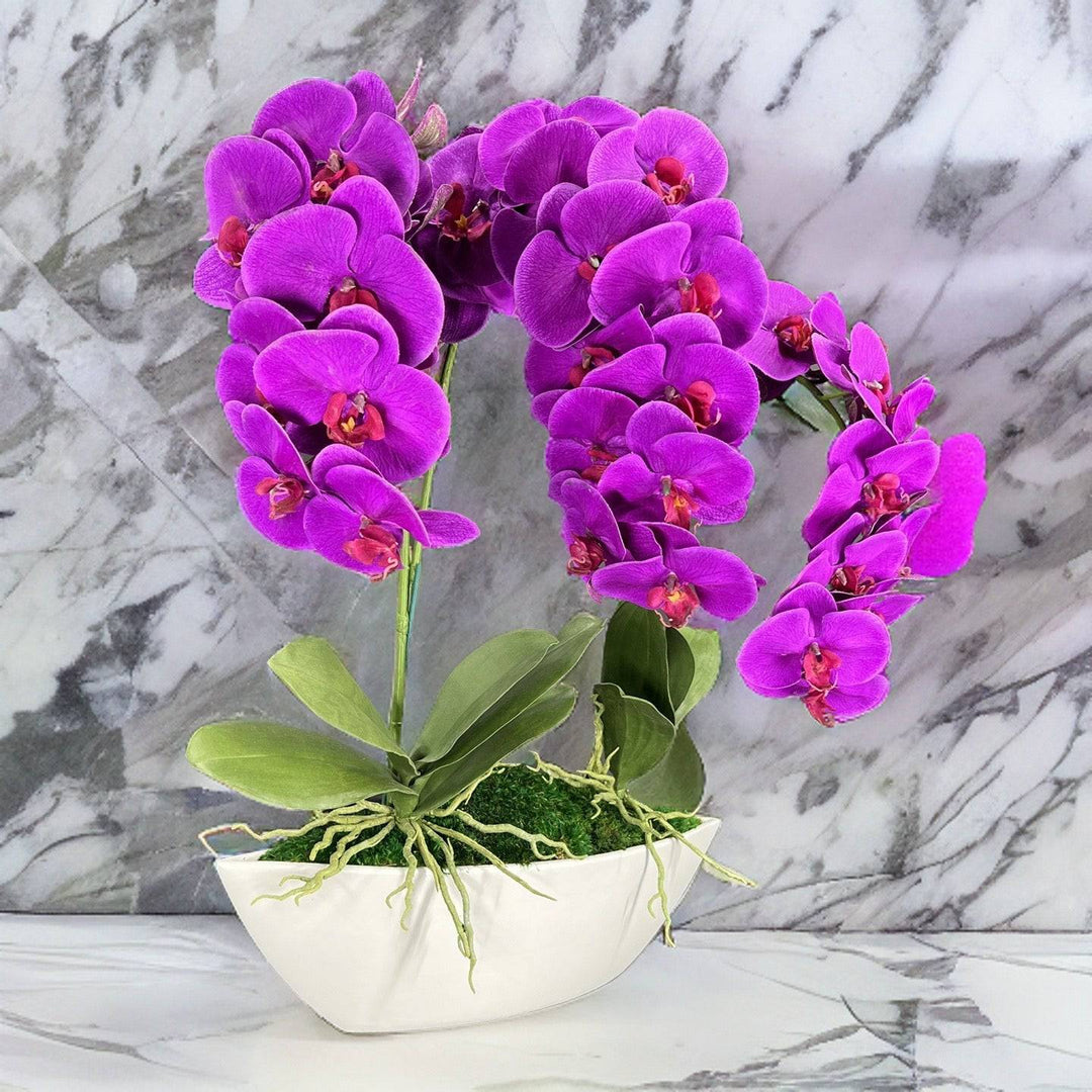 Orchid Centerpiece in Boat Bowl - MossFusion