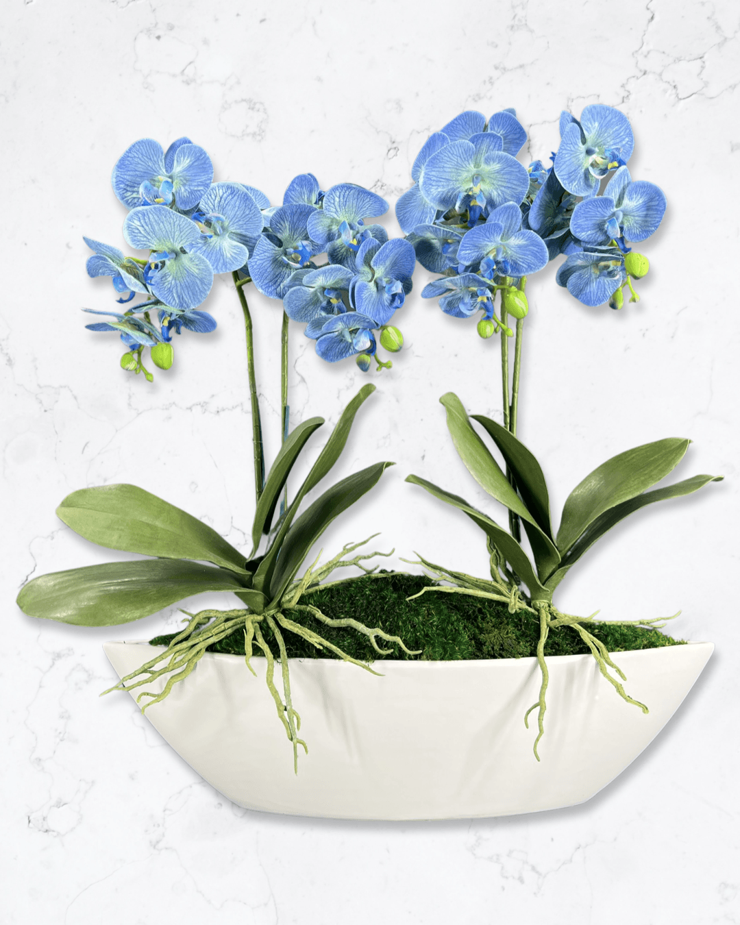 Orchid & Moss Arrangement in Silver Bowl