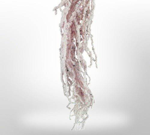 Preserved Amaranthus for Art Sets - MossFusion