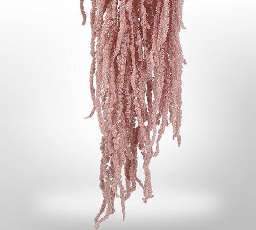 Preserved Amaranthus for Art Sets - MossFusion