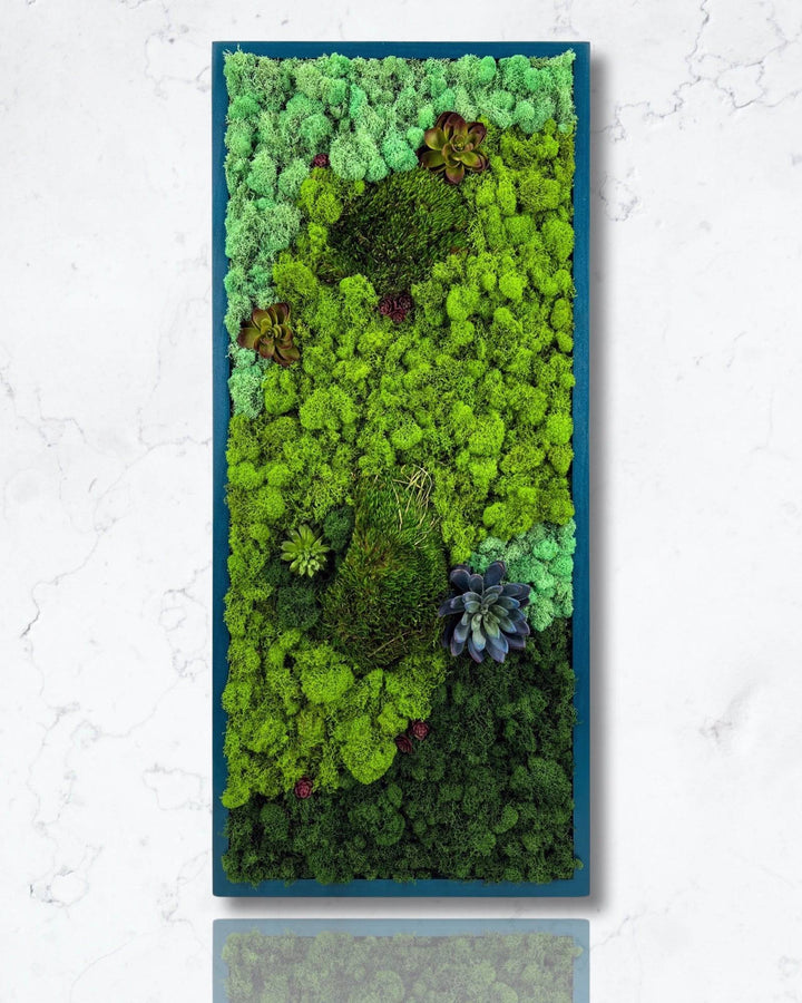 Preserved Mood and Pillow Moss Wall Art Decor - MossFusion
