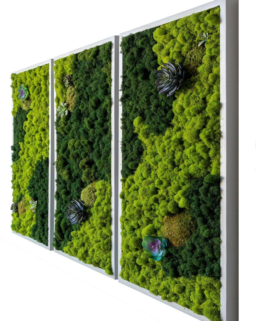Preserved Moss Wall Art Piece, Lush Greenery Indoors Plant