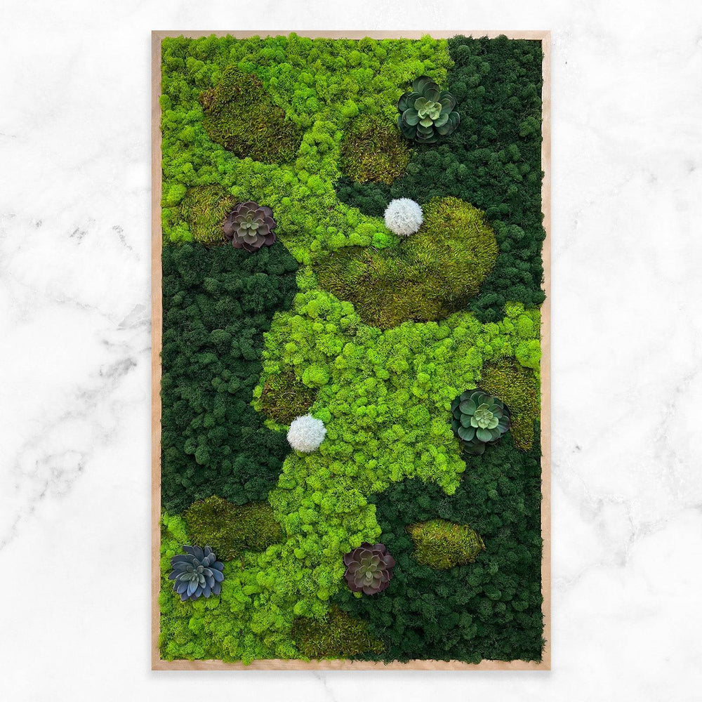 Preserved Mood Moss Wall Art Decor - MossFusion