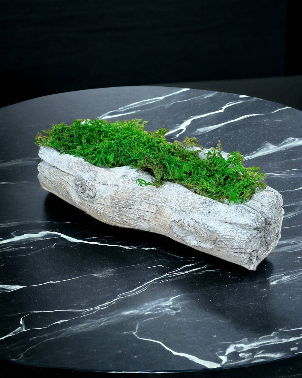 Preserved Moss in Cement Driftwood Center Piece - MossFusion