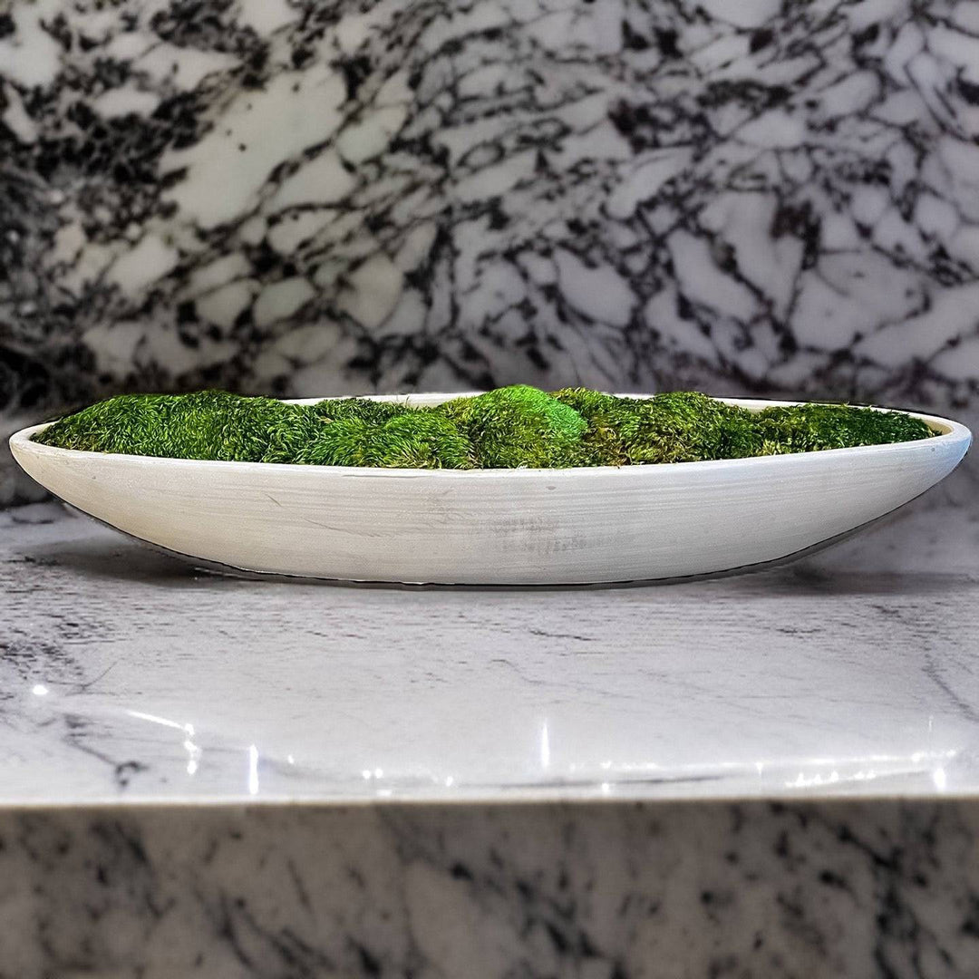 Preserved Moss in Concrete Boat Centerpiece - MossFusion