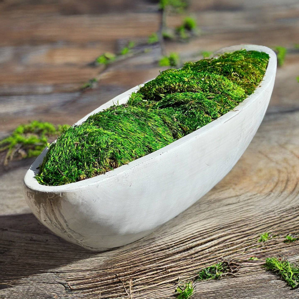 Preserved Moss in Concrete Boat Centerpiece - MossFusion