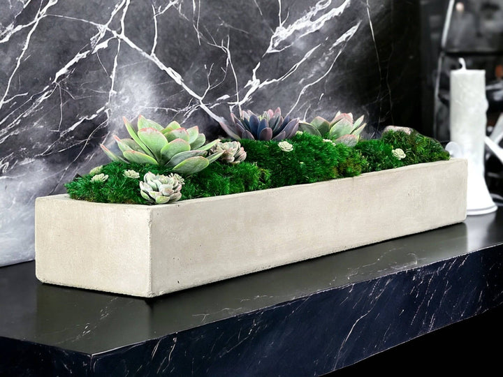 Preserved Moss in Concrete Rectangular Centerpiece - MossFusion