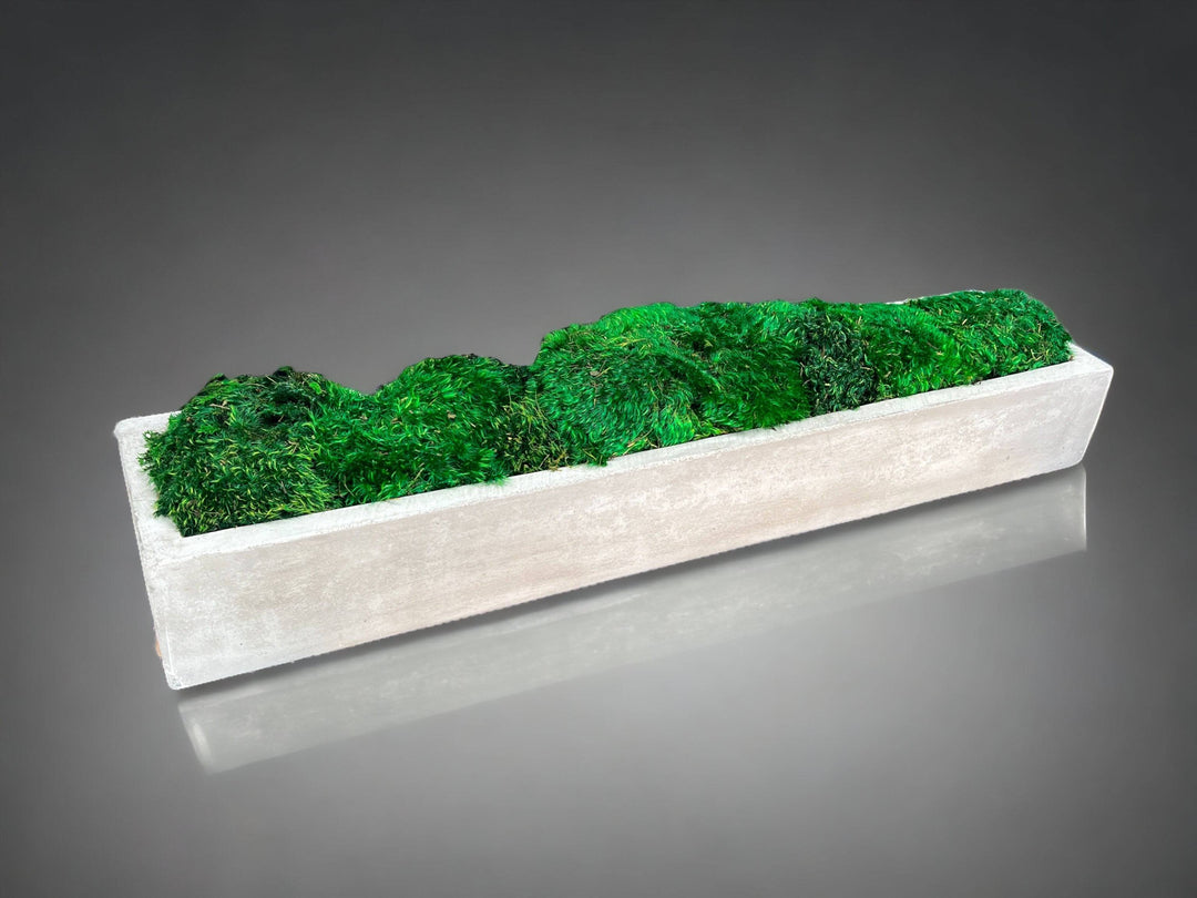 Preserved Moss in Concrete Rectangular Centerpiece - MossFusion