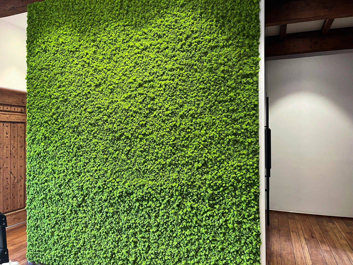 Preserved Moss Wall Panels - MossFusion