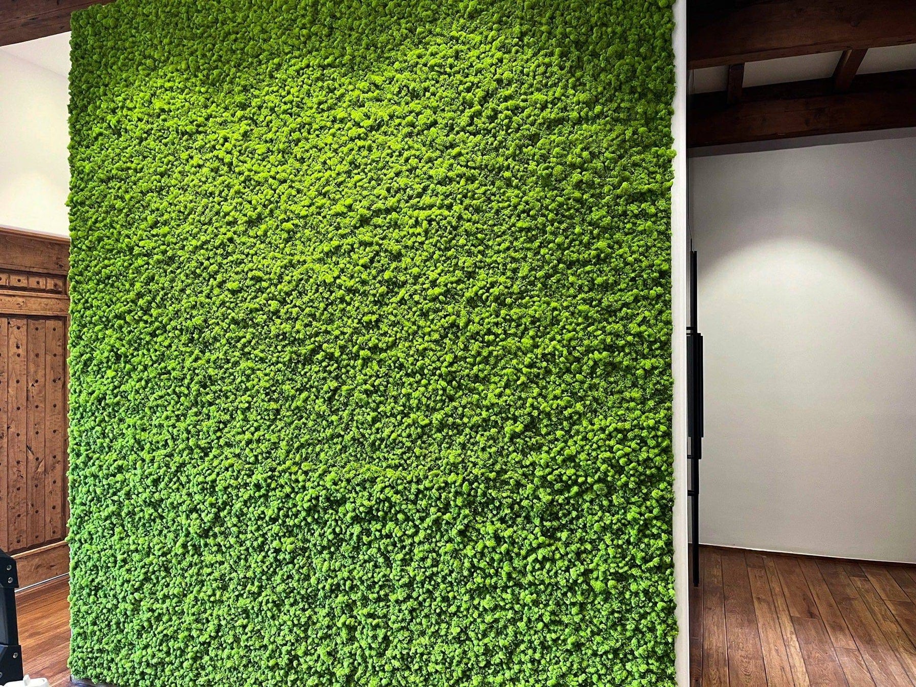 Preserved Moss Wall Panels For Sale | Moss Fusion – MossFusion