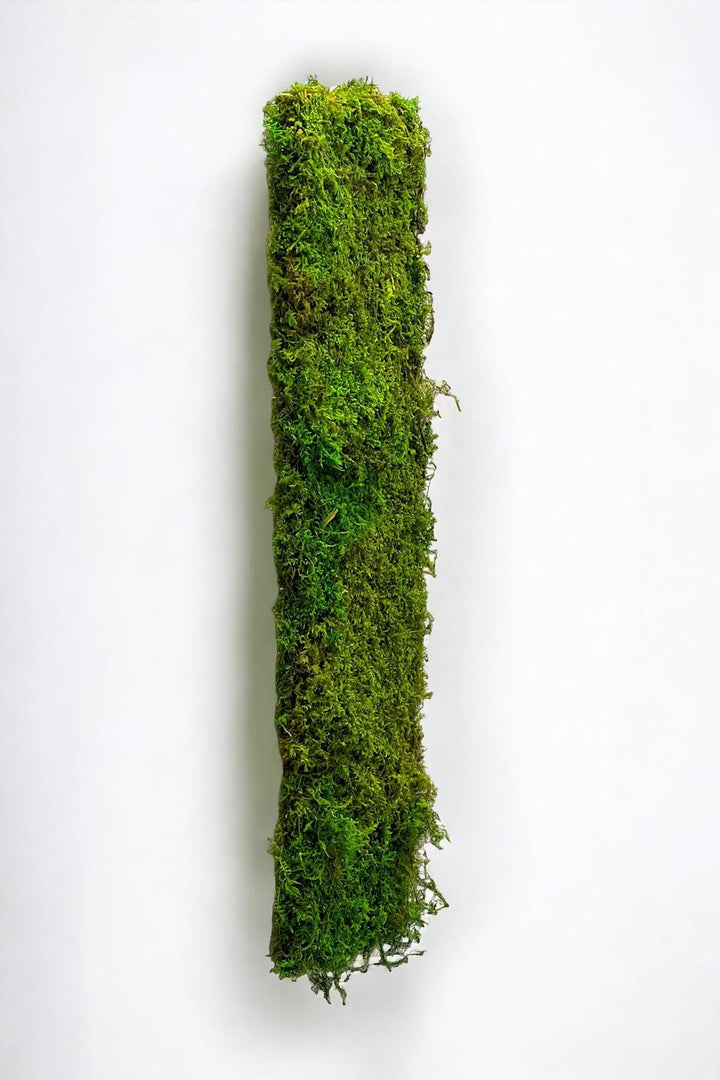 Preserved Moss Wall Panels - MossFusion