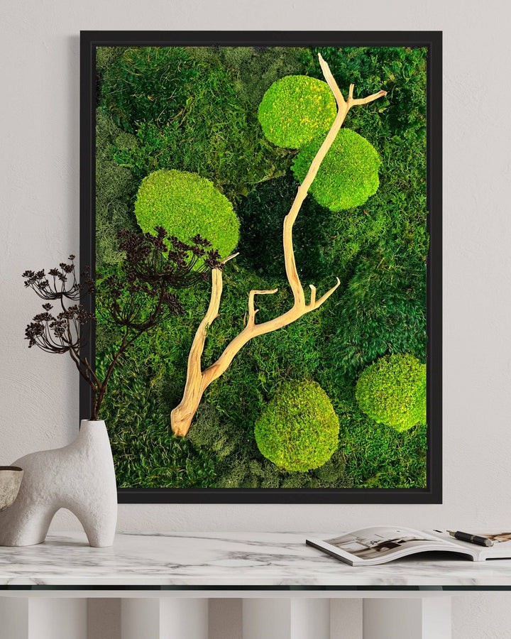 Preserved Pincushion Moss Wall Art - MossFusion