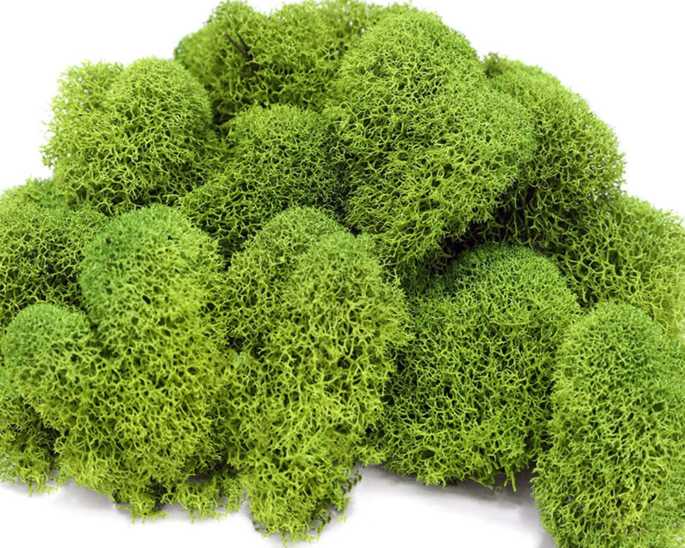 Samples - MossFusion