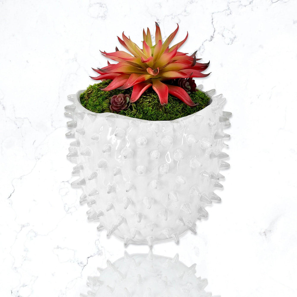 Spiked Pots with Succulents - MossFusion