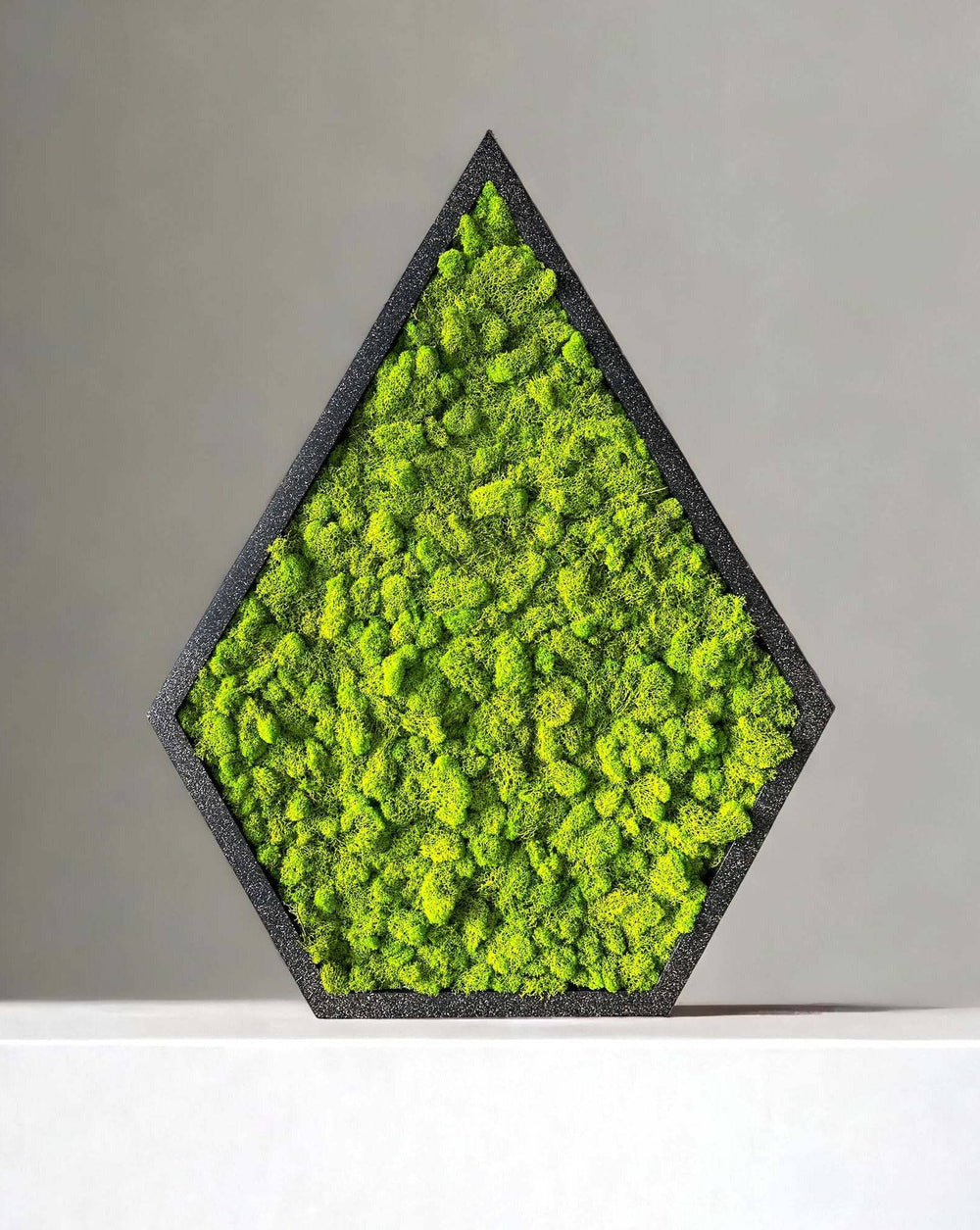 Teardrop Moss Wall Art - MossFusion
