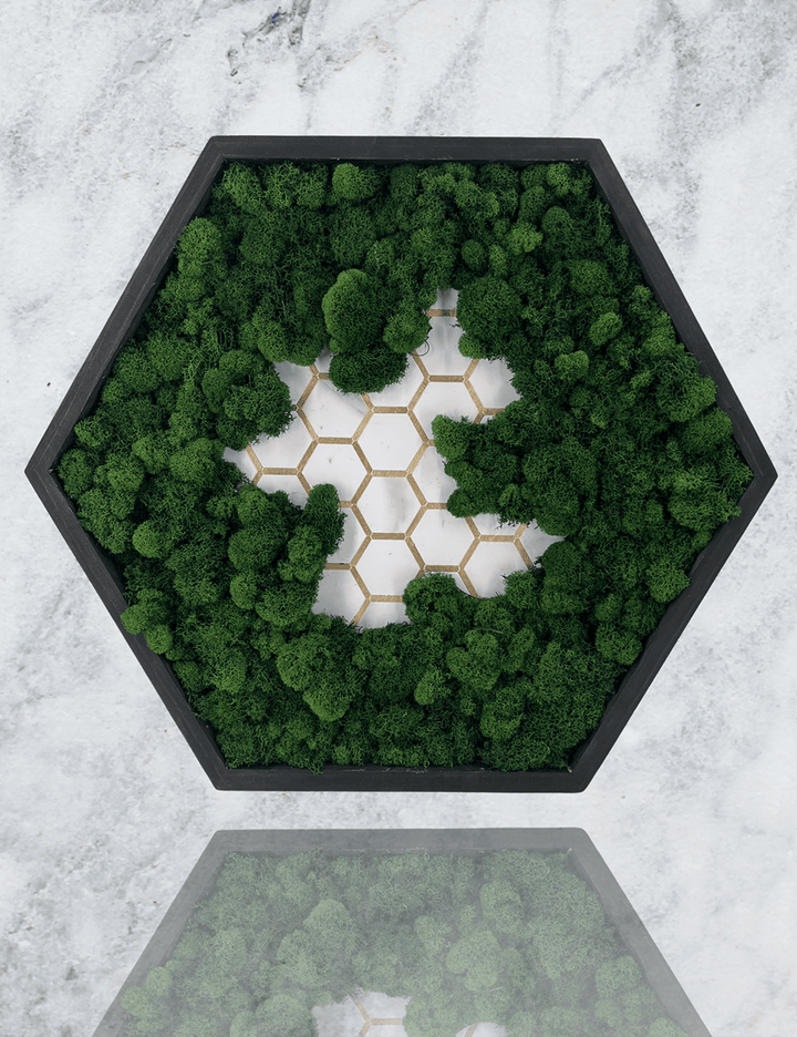 Tiled Hexagon Moss Wall Art - MossFusion