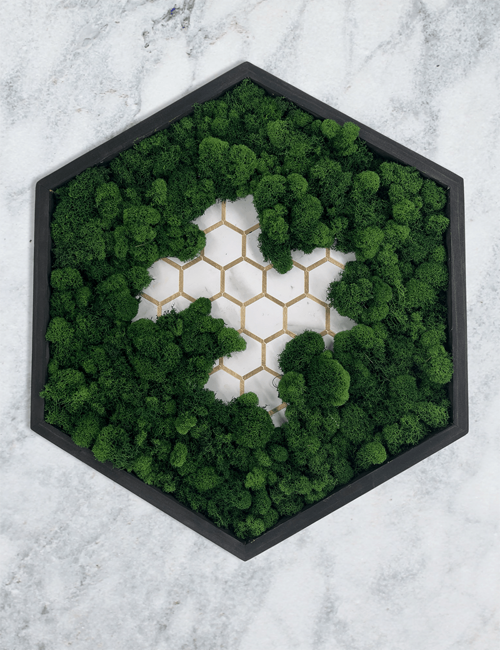 Tiled Hexagon Moss Wall Art - MossFusion