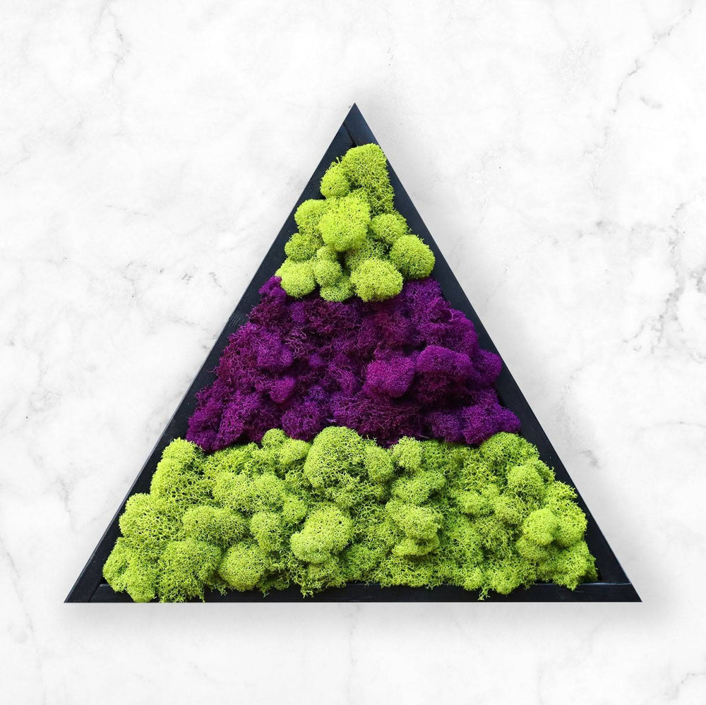 Triangle Moss Art - MossFusion